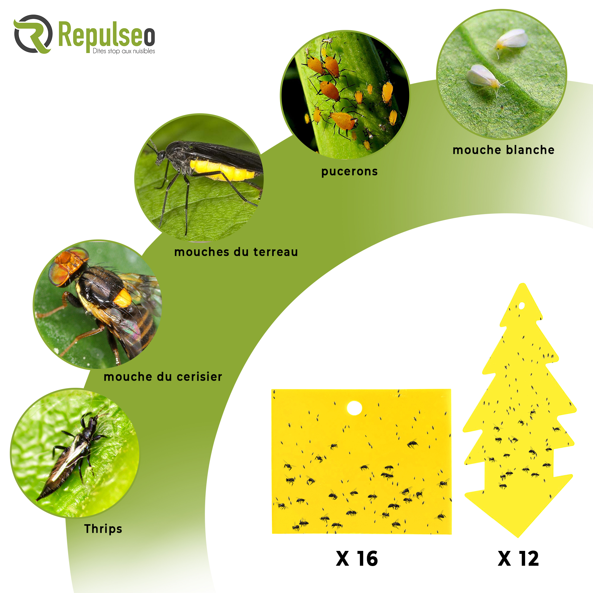 Pièges à Insectes Autocollants Jaunes - 30 Pièces - Pour Moucherons, Aleurodes - Protection Plantes D'intérieur